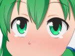  1girl bangs blush cato_(monocatienus) close-up commentary_request eyebrows_visible_through_hair green_eyes green_hair hair_between_eyes hair_tubes kochiya_sanae looking_at_viewer nose_blush simple_background solo tears touhou white_background 