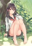  1girl bangs bare_legs barefoot black_hair blush breasts collarbone day eyebrows_visible_through_hair furukawa_wanosuke hair_between_eyes hand_on_own_head highres knees_together_feet_apart knees_up large_breasts long_hair long_sleeves looking_at_viewer original outdoors plant red_eyes school_uniform serafuku sidelocks sitting solo thighs tree 