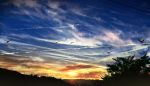  bird clouds commentary condensation_trail film_grain gensuke_(ryun) grass heisei highres no_humans original power_lines reiwa scenery sky sunset tree valley 