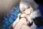  .com_(cu_105) 1girl ahoge black_cape blue_eyes blue_flower blue_rose cape commentary_request fate_(series) flower fur-trimmed_cape fur_trim gray_(lord_el-melloi_ii) hands_up head_tilt hood hood_up jacket knees_up looking_away looking_to_the_side lord_el-melloi_ii_case_files parted_lips rose silver_hair sitting solo white_jacket 