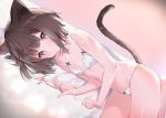  1girl animal_ears bare_arms bare_shoulders bed_sheet blush bow bow_bra bow_panties bra breasts brown_hair cat_ears cat_girl cat_tail cat_teaser closed_mouth collarbone commentary_request cona_kinaco holding looking_at_viewer lying on_side original panties pink_eyes red_ribbon ribbon sidelocks small_breasts solo tail tail_raised underwear underwear_only white_bra white_panties 