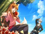  800x600 apple apple_core apples brown_hair craft_lawrence eating food fruit holding holding_fruit holo long_hair red_eyes short_hair silver_hair sitting sky spice_and_wolf tail wolf_ears yashima_takahiro 