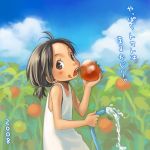  lowres original tagme tomato yuuryuu_nagare 