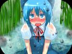  camera cirno mushi_baibai touhou viewfinder 