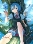  barefoot bloomers blue_hair bow cirno element_bender feet foreshortening frog hair_bow haruno ice in_tree looking_at_viewer ribbon ribbons short_hair sitting sitting_in_tree smile soles toes touhou tree trees wings 