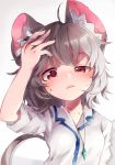  1girl ahoge animal_ear_fluff animal_ears blush commentary_request grey_hair highres jewelry kibayashi_kimori looking_at_viewer mouse_ears mouse_tail nazrin pendant red_eyes shirt short_sleeves simple_background solo sweat tail touhou upper_body white_background white_shirt 