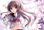  1girl absurdres bangs blurry blurry_background blush brown_eyes brown_hair cherry_blossoms day eyebrows_visible_through_hair flower highres huge_filesize karory long_hair long_sleeves looking_at_viewer navel open_mouth original outdoors sailor_collar scan school_uniform solo stomach tree_branch upper_body 