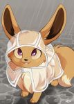  :3 artist_name clothed_pokemon commentary dvixie eevee english_commentary full_body gen_1_pokemon grey_background happy highres hood jpeg_artifacts looking_up no_humans open_mouth outdoors pokemon pokemon_(creature) rain raincoat raincoat_cat see-through signature smile solo standing teeth violet_eyes 