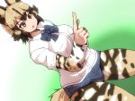  african_wild_dog_(kemono_friends) african_wild_dog_print animal_ears bow bowtie breast_pocket breasts commentary_request denim denim_shorts dog_ears dog_tail isuna kemono_friends large_breasts long_sleeves pocket short_over_long_sleeves short_sleeves shorts tail 