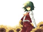  flower fori green_hair kazami_yuuka light_smile plaid plaid_skirt plaid_vest red_eyes short_hair sitting skirt skirt_set sunflower touhou white_background 