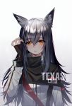  1girl animal_ear_fluff animal_ears arknights bangs baocaizi black_capelet black_gloves black_hair brown_eyes capelet character_name ear_piercing eyebrows_visible_through_hair fingerless_gloves fingernails gloves gradient gradient_background gradient_hair grey_background hair_between_eyes hand_up highres jacket long_hair looking_at_viewer multicolored_hair parted_lips piercing silver_hair solo texas_(arknights) very_long_hair white_background white_jacket 