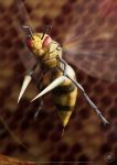  absurdres bee beedrill bug creature deviantart_username english_text flying full_body highres insect joshua_dunlop looking_at_viewer pokemon pokemon_(creature) realistic red_eyes solo 