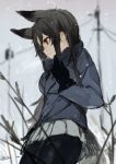  1girl absurdres animal_ears black_gloves black_legwear black_neckwear blue_bow blue_jacket blurry blurry_background bow closed_mouth clouds cloudy_sky commentary cowboy_shot day depth_of_field extra_ears fox_ears fox_tail from_side gloves grass grey_hair grey_skirt grey_sky highres hiranko jacket kemono_friends long_hair long_sleeves necktie orange_eyes outdoors pantyhose pleated_skirt power_lines profile silver_fox_(kemono_friends) skirt sky snow snowing solo standing tail telephone_pole 
