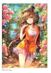  1girl animal_ears blue_ribbon brown_hair capelet cat_ears cat_tail collarbone copyright_name dress eyebrows_visible_through_hair floating_hair flower fuumi_(radial_engine) gradient_ribbon green_eyes green_ribbon hair_flower hair_ornament hair_ribbon highres looking_at_viewer medium_hair multicolored_flower pinafore_dress pink_flower red_capelet red_ribbon ribbon shiny shiny_hair shirt short_dress sleeveless sleeveless_dress smile solo standing striped tail vertical-striped_dress vertical_stripes white_shirt yellow_dress z/x 