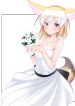  1girl absurdres alternate_costume animal_ears arms_up bare_shoulders black_ribbon blonde_hair blush bouquet breasts brown_eyes collarbone contrapposto cowboy_shot dress expressionless fennec_(kemono_friends) flower fox_ears fox_tail highres holding holding_bouquet kemono_friends kinou_no_shika looking_at_viewer multicolored_hair pinky_out ribbon sash short_hair simple_background sleeveless sleeveless_dress small_breasts solo standing sundress tail two-tone_hair white_background white_dress white_hair 