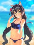 1girl 3: animal_ear_fluff animal_ears backlighting beach bikini black_hair blurry blurry_background bokeh breasts cat_ears cat_tail closed_mouth commentary_request cowboy_shot day depth_of_field eyewear_on_head flower gom_(kooskoo) green_eyes hair_flower hair_ornament highres kyaru_(princess_connect) long_hair low_twintails multicolored_hair navel outdoors princess_connect!_re:dive small_breasts solo streaked_hair sunglasses sunlight swimsuit tail twintails very_long_hair 