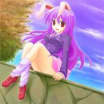  animal_ears rabbit_ears konomi long_hair purple_hair reisen_udongein_inaba skirt touhou  
