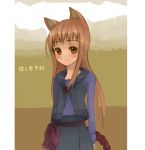 brown_eyes brown_hair holo long_hair spice_and_wolf translated vest 