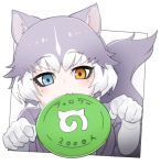  1girl animal_ears blue_eyes brown_eyes closed_mouth dog_(mixed_breed)_(kemono_friends) dog_ears dog_tail elbow_gloves eyebrows_visible_through_hair fang frisbee gloves grey_hair heterochromia japari_symbol kemono_friends looking_at_viewer mouth_hold multicolored_hair nyifu short_hair solo tail translated white_gloves white_hair 