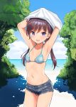  1girl :d armpits arms_up bare_shoulders bikini_top blue_bikini_top blue_sky blush breasts brown_hair clouds collarbone copyright_request cowboy_shot cutoffs day denim denim_shorts halter_top halterneck horizon long_hair looking_at_viewer low_twintails navel ocean open_mouth outdoors sekiya_asami shirt short_shorts shorts sky small_breasts smile solo standing stomach sunlight thighs tree tree_shade twintails undressing violet_eyes water white_shirt 