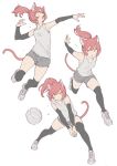  1girl animal_ears arm_warmers armpits black_legwear breasts cat_ears cat_tail fang full_body long_hair mogumo multiple_views original own_hands_together pink_hair ponytail running shoes short_shorts shorts simple_background small_breasts sneakers sportswear sweat tail tank_top thigh-highs volleyball volleyball_uniform white_background 