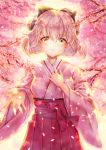  1girl black_bow blonde_hair blush bow cherry_blossoms closed_mouth day eyebrows_visible_through_hair fate_(series) hair_between_eyes hair_bow hakama highres japanese_clothes kimono koha-ace long_sleeves looking_at_viewer okita_souji_(fate) okita_souji_(fate)_(all) outdoors pink_kimono reaching red_hakama short_hair solo standing tamaso wide_sleeves yellow_eyes 