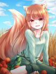  1girl animal_ears apple blue_sky blush brown_hair day food fruit green_skirt highres holo kazami-s long_hair long_sleeves looking_at_viewer open_mouth outdoors red_eyes sitting skirt sky smile solo spice_and_wolf tail wolf_ears wolf_tail 