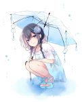  1girl black_hair blue_dress blue_flower blue_footwear blue_umbrella blush braid commentary_request dress flower full_body hair_flower hair_ornament hair_over_shoulder highres holding holding_umbrella kuroi_(liar-player) long_hair low_twintails original parted_lips puffy_short_sleeves puffy_sleeves sandals shirt short_sleeves sleeveless sleeveless_dress smile solo squatting transparent transparent_umbrella twin_braids twintails twitter_username umbrella white_background white_shirt 