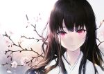  1girl bangs black_hair blunt_bangs blush branch cherry_blossoms closed_mouth expressionless haori_iori highres long_hair looking_at_viewer original red_eyes solo symbol_commentary upper_body 