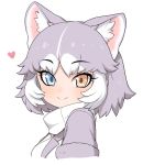  1girl animal_ears blue_eyes commentary_request dog_(mixed_breed)_(kemono_friends) dog_ears eyebrows_visible_through_hair fur-trimmed_sleeves fur_trim grey_hair heart heterochromia kemono_friends looking_at_viewer medium_hair multicolored_hair ransusan short_sleeves simple_background smile solo two-tone_hair upper_body white_background white_hair yellow_eyes 