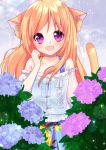 1girl :d animal_ear_fluff animal_ears bangs bare_shoulders blue_camisole blue_flower blue_skirt camisole cat_ears cat_girl cat_tail collarbone commentary_request eyebrows_visible_through_hair fang flower hair_between_eyes hand_up hydrangea long_hair misaki_(misaki86) off-shoulder_shirt off_shoulder open_mouth orange_hair original pink_flower pleated_skirt puffy_short_sleeves puffy_sleeves purple_flower rain shirt short_sleeves skirt smile solo tail tail_raised violet_eyes white_shirt 