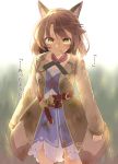  ... 1girl amane_rosylily animal_ear_fluff animal_ears bangs black_legwear blurry blurry_background brown_coat brown_eyes brown_hair bruise clenched_hands coat collarbone commentary_request day depth_of_field dress eyebrows_visible_through_hair fingernails fox_ears highres injury long_sleeves looking_at_viewer open_clothes open_coat original outdoors sekira_ame solo standing thigh-highs torn_clothes torn_dress translated v-shaped_eyebrows white_dress 