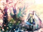  blue_eyes cherry_blossoms detached_sleeves from_above hatsune_miku long_hair looking_up microphone multicolored_hair necktie onineko petals pink_hair standing thigh-highs thighhighs twintails vocaloid white_hair 