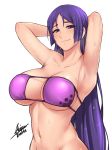  1girl airisubaka armpits arms_up artist_name bangs bikini blush breasts closed_mouth collarbone commentary english_commentary eyebrows_visible_through_hair eyepatch_bikini fate/grand_order fate_(series) highres large_breasts long_hair looking_at_viewer midriff minamoto_no_raikou_(fate/grand_order) minamoto_no_raikou_(swimsuit_lancer)_(fate) navel parted_bangs purple_bikini purple_hair shiny shiny_hair shiny_skin signature simple_background solo swimsuit very_long_hair wet wet_hair 