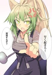  anger_vein animal_ears apron atalanta_(fate) cat_ears fate/apocrypha fate/grand_order fate_(series) gradient_hair green_eyes green_hair index_finger_raised ladle long_hair multicolored_hair scolding two-tone_hair 