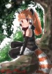  1girl bare_shoulders black_gloves black_legwear commentary_request cutoffs dated day elbow_gloves extra_ears eyebrows_visible_through_hair fur_collar gloves highres in_tree kemono_friends leaf legwear_under_shorts lesser_panda_(kemono_friends) long_hair looking_at_viewer multicolored_hair orange_hair outdoors pantyhose red_panda_ears red_panda_tail shirt short_shorts shorts signature sitting sleeveless sleeveless_shirt smile solo striped striped_shirt striped_tail tail tree twitter_username white_shorts yonaka-nakanoma 