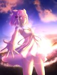  1girl animal_ears bare_shoulders blush cat_ears cat_girl dress eyebrows_visible_through_hair hair_ornament highres hksicabb looking_at_viewer niyah short_hair smile solo standing sundress sunset swimsuit thighs xenoblade_(series) xenoblade_2 