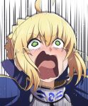  1girl ahoge armor armored_dress artoria_pendragon_(all) blonde_hair crying fate/stay_night fate_(series) fujitaka_nasu green_eyes highres kono_subarashii_sekai_ni_shukufuku_wo! meme parody saber solo upper_body wavy_mouth 