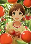  1girl :d ahoge apple blurry blurry_background blurry_foreground blush brown_hair commentary_request food fruit green_eyes highres idolmaster idolmaster_million_live! kinoshita_hinata looking_at_viewer open_mouth plant shiokazunoko short_hair smile solo 