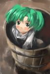 girl_in_bucket green_eyes green_hair in_bucket in_container kisume touhou yohane 