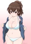  1girl artist_name bangs bikini bikini_under_clothes black_ribbon blue_jacket blush breasts brown_eyes brown_hair closed_mouth commentary cowboy_shot eyebrows_visible_through_hair front-tie_bikini front-tie_top girls_und_panzer gradient gradient_background hair_ribbon jacket koyama_yuzu large_breasts long_sleeves looking_at_viewer medium_hair military military_uniform navel no_pants off-shoulder_shirt off_shoulder ooarai_military_uniform open_clothes open_jacket opened_by_self pink_background ribbon shirt short_ponytail side-tie_bikini signature smile solo standing swimsuit uniform white_bikini yts_takana 