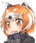  1girl animal_ear_fluff animal_ears bangs black_neckwear bow brown_eyes commentary_request eyebrows_visible_through_hair fur_collar highres kemono_friends lesser_panda_(kemono_friends) looking_at_viewer multicolored_hair orange_hair parted_lips portrait red_panda_ears short_hair simple_background solo thin_(suzuneya) two-tone_hair white_background white_hair 