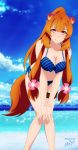  1girl animal_ears artist_name benjoerres bikini blue_sky blush breasts brown_hair clouds flower hair_flower hair_ornament hands_on_own_knees highres knees_together lava_savage long_hair ocean ponytail raccoon_ears raccoon_tail raphtalia sidelocks sky smile solo swimsuit tail tate_no_yuusha_no_nariagari thighs violet_eyes water 