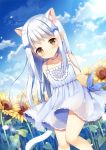  1girl animal_ear_fluff animal_ears arms_behind_back bangs bare_shoulders blue_choker blue_dress blue_sky blush bow brown_eyes brown_headwear cat_ears cat_girl cat_tail choker closed_mouth clouds cloudy_sky collarbone commentary day dress dutch_angle english_commentary eyebrows_visible_through_hair field flower flower_field hair_bow hat hat_removed headwear_removed holding holding_hat long_hair mauve original outdoors red_bow sky sleeveless sleeveless_dress smile solo sun_hat sunflower sunlight tail white_hair yellow_flower 