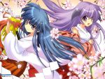  black_eyes cherry_blossoms duplicate flower furude_rika gohei hanyuu highres higurashi_no_naku_koro_ni horns japanese_clothes long_hair miko purple_eyes purple_hair suzuragi_karin violet_eyes 