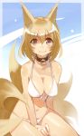  bikini collar fox_ears fox_tail ichinii miyo_yuu multiple_tails short_hair swimsuit tail touhou yakumo_ran 