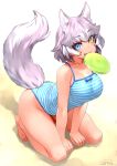  1girl animal_ears barefoot blue_eyes blue_swimsuit breasts dated dog_(mixed_breed)_(kemono_friends) dog_ears dog_tail eyebrows_visible_through_hair fang frisbee grey_hair happa_(cloverppd) heterochromia kemono_friends large_breasts looking_at_viewer mouth_hold multicolored_hair one-piece_swimsuit short_hair solo striped striped_swimsuit swimsuit tail two-tone_hair white_hair yellow_eyes 