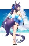  1girl absurdly_long_hair bow cat_ears clouds cloudy_sky gloves inflatable_toy legs shoes sky tagme tail 