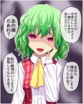  1girl alternate_breast_size breasts collared_shirt commentary_request eyebrows_visible_through_hair fusu_(a95101221) green_hair hand_on_own_face kazami_yuuka long_sleeves looking_at_viewer plaid plaid_vest red_eyes red_vest shaded_face shirt short_hair small_breasts touhou translation_request vest white_shirt yellow_neckwear 