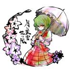  flower green_hair kagekichirou kazami_yuuka parasol plaid plaid_skirt plaid_vest red_eyes shaded_face short_hair skirt skirt_set smile touhou translation_request umbrella 